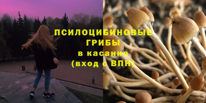 hydra онион  Кунгур  Галлюциногенные грибы Psilocybine cubensis 